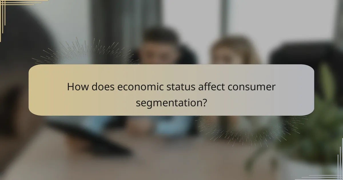 How does economic status affect consumer segmentation?
