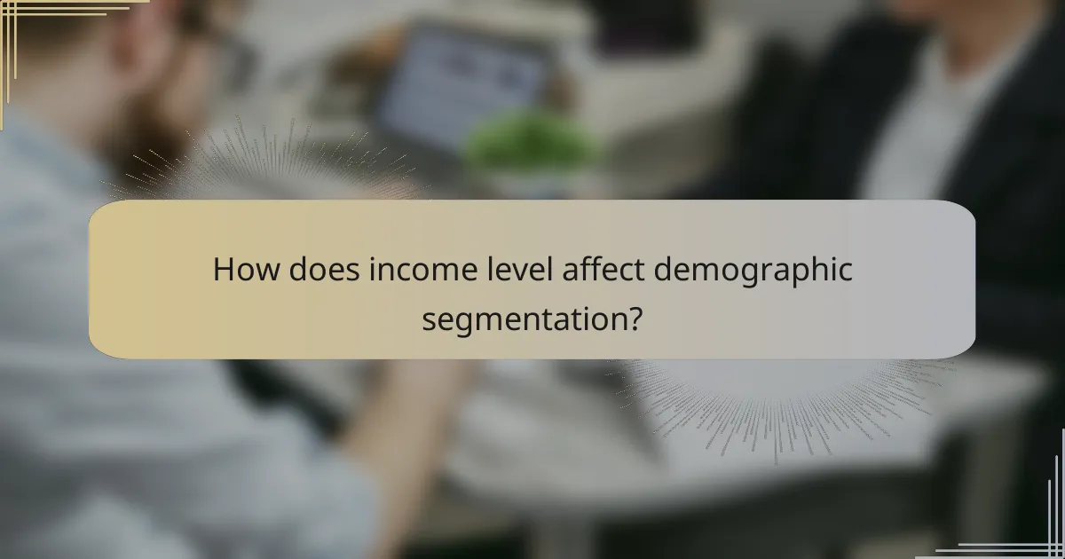 How does income level affect demographic segmentation?