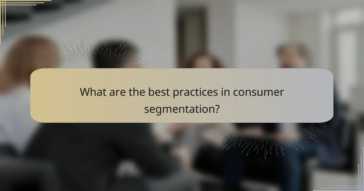 What are the best practices in consumer segmentation?