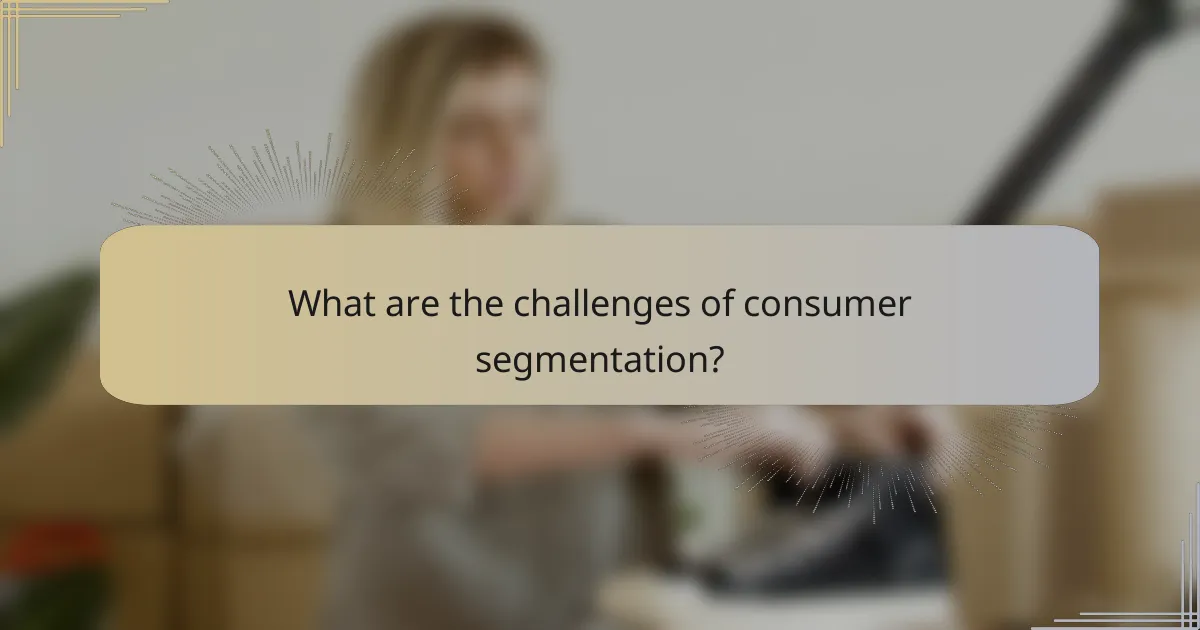 What are the challenges of consumer segmentation?