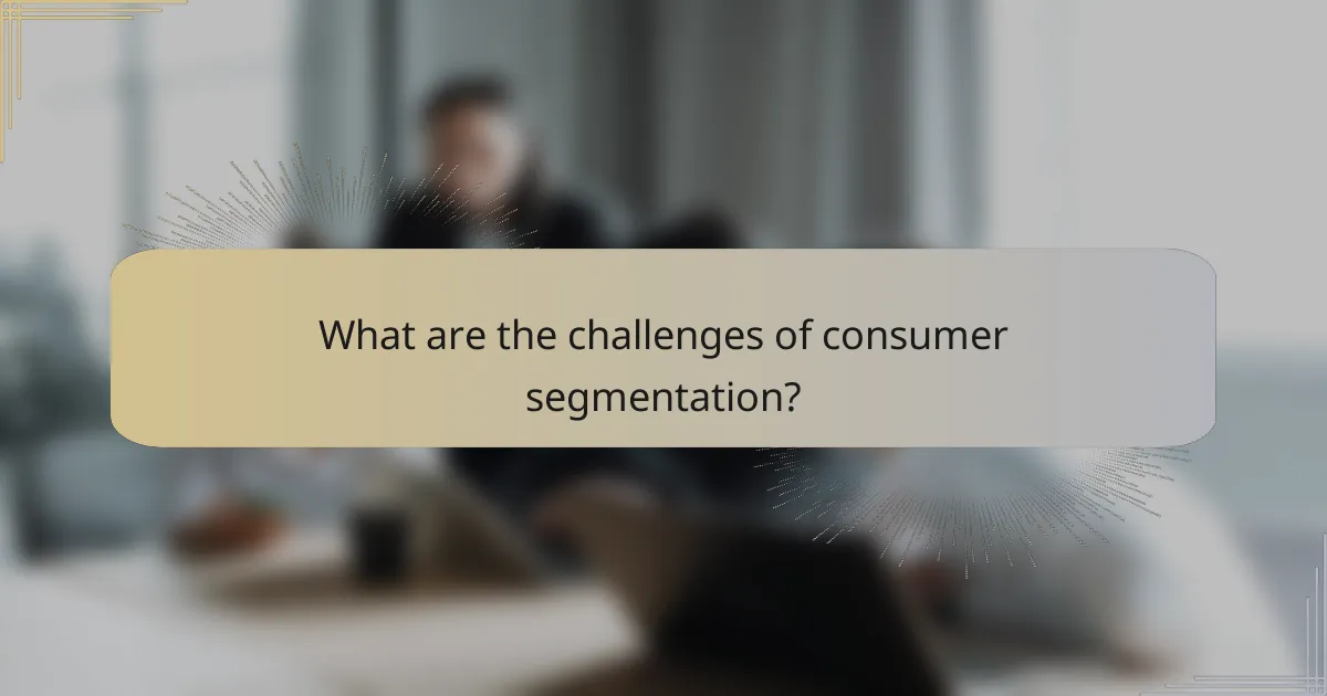 What are the challenges of consumer segmentation?
