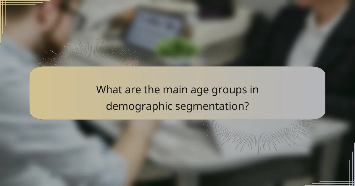 What are the main age groups in demographic segmentation?