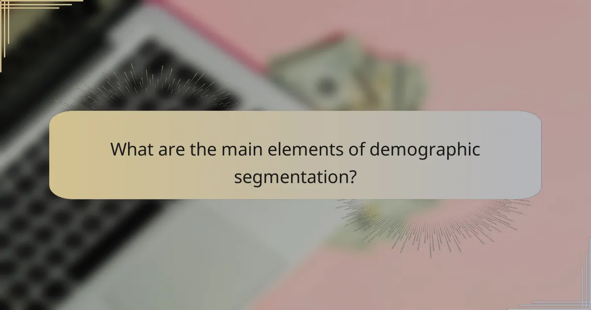 What are the main elements of demographic segmentation?