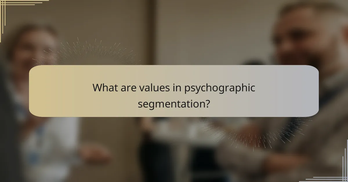 What are values in psychographic segmentation?