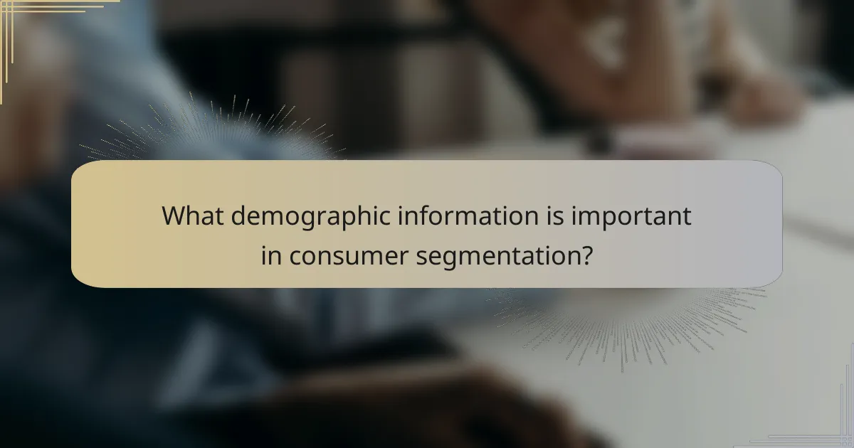 What demographic information is important in consumer segmentation?